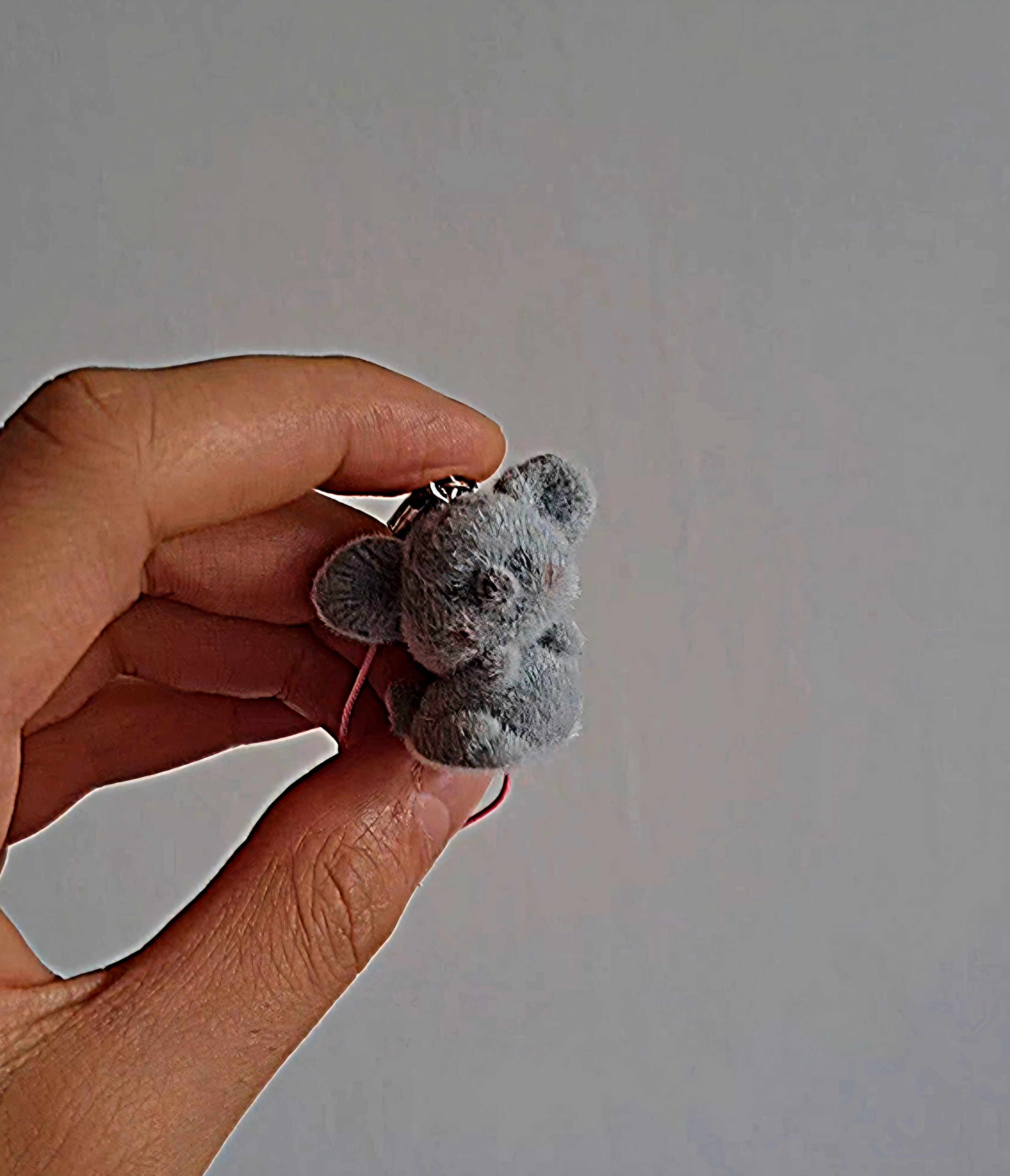 آویز مخملی کوالا 🐨